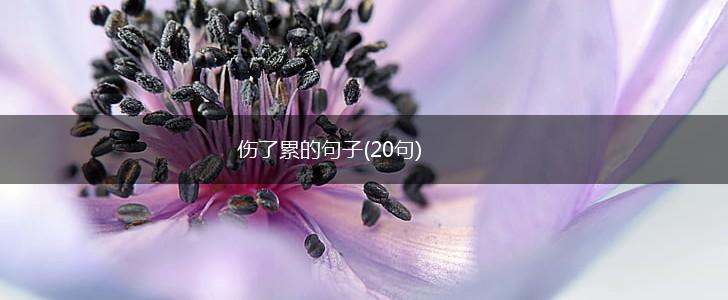 伤了累的句子(20句),第1张