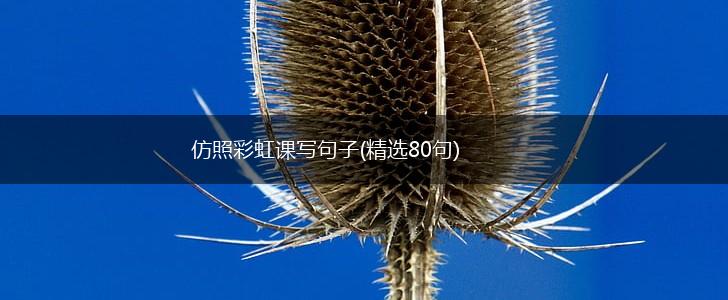 仿照彩虹课写句子(精选80句),第1张