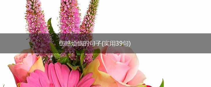 伤感烦恼的句子(实用39句),第1张