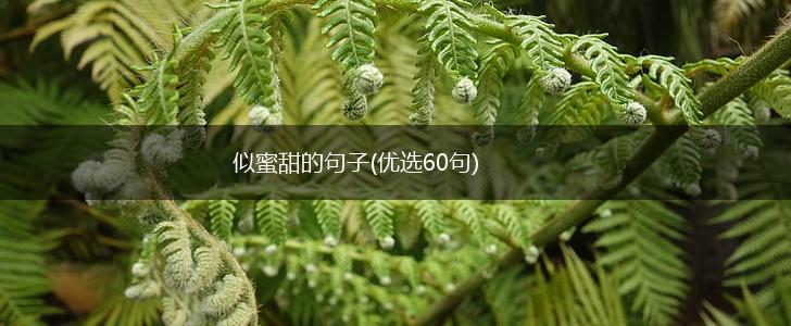 似蜜甜的句子(优选60句),第1张