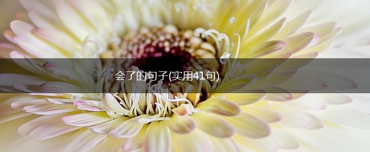 会了的句子(实用41句),第1张