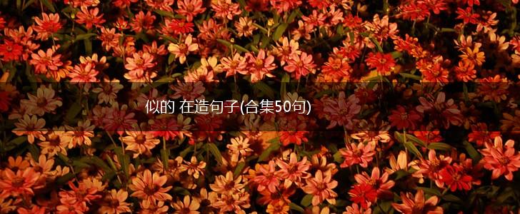 似的 在造句子(合集50句),第1张